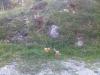 IMG-20110912-00161.jpg